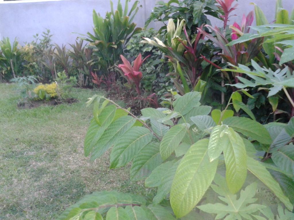Dayspring Lodge Nuku'alofa Exterior foto