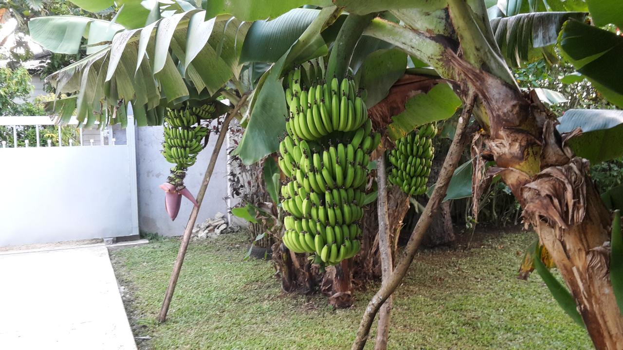Dayspring Lodge Nuku'alofa Exterior foto